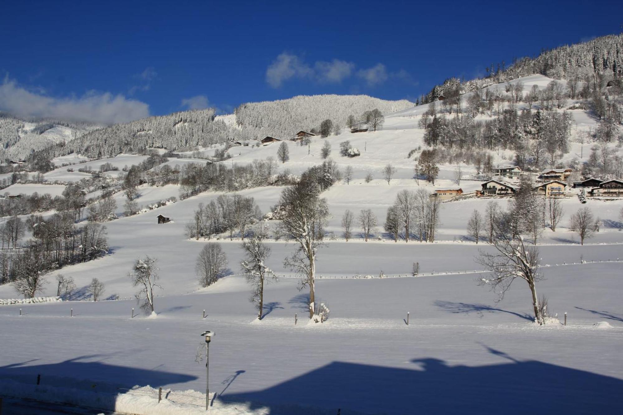 Haus Piesendorf Lägenhet Exteriör bild