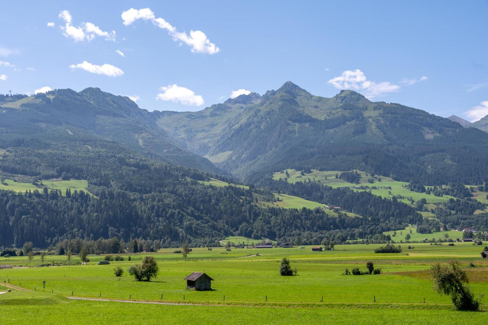 Haus Piesendorf Lägenhet Exteriör bild